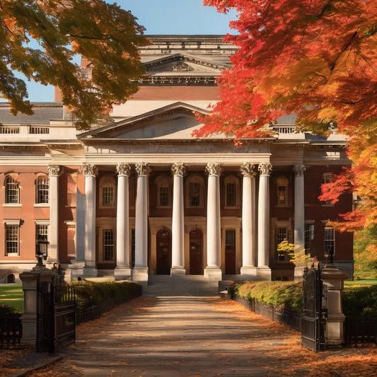 Finding joy in stability—even if it’s boring sometimes.