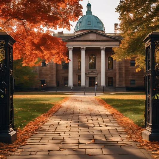 Watching “study with me” YouTube while lying in bed.