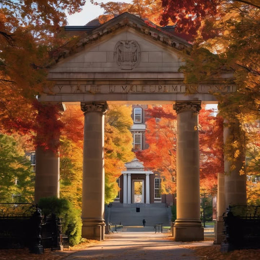 Seeing candles flicker during a campus vigil.