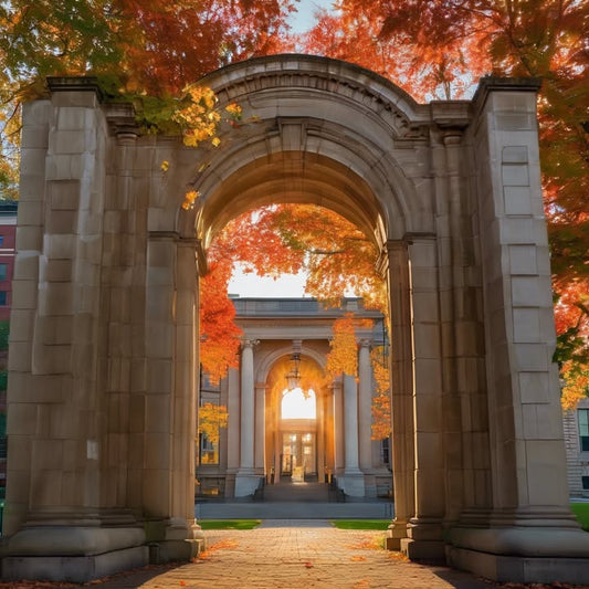 Roommate who always brings their situationship over.