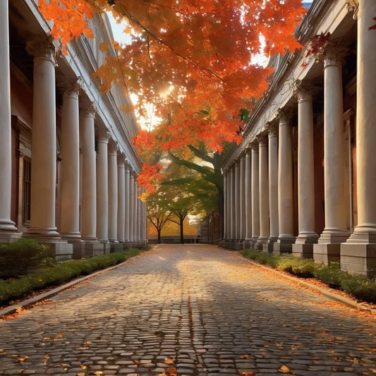 Faculty vs. student dodgeball you never expected to love.