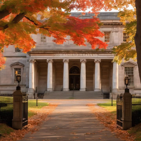 Someone kept a snake. You didn’t ask questions.