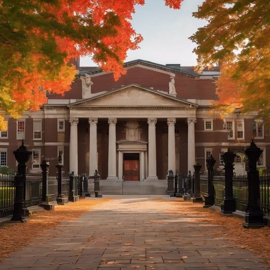 Window stuck open all winter.