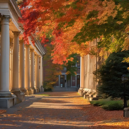 Leaving your window open for the last time.