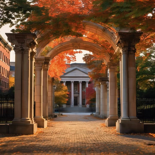 …get FOMO from a poetry night you didn’t even like.