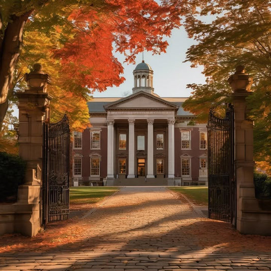 Blackboard crashes 5 minutes before the deadline.