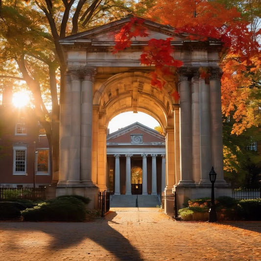 Pretending you understand by just underlining everything.