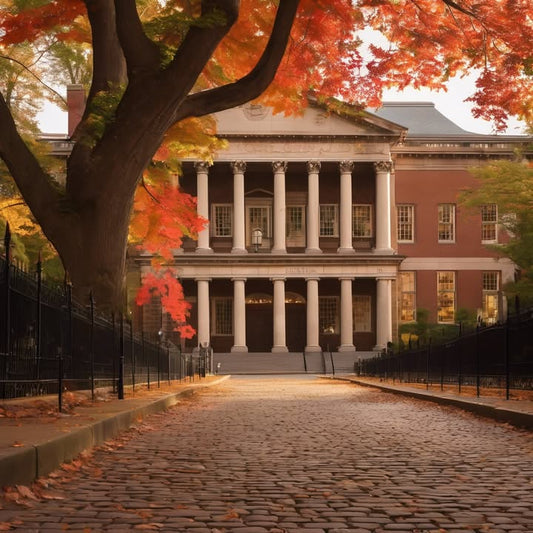 Learning that empathy > prestige in real teams.