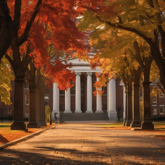 Missing those oddly comforting mediocre meals.