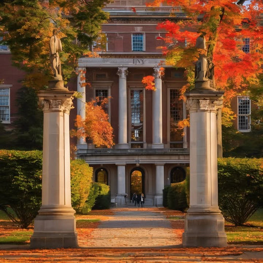 Seeing a campus meme and getting the joke.