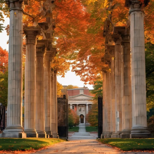 Duct-taping your umbrella during a storm.