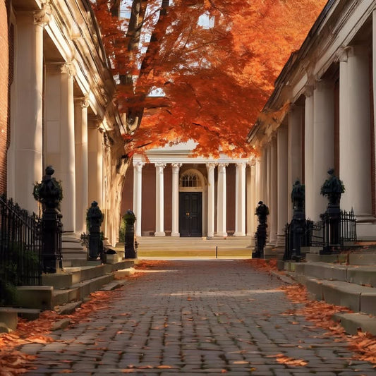 The shower water: scalding or glacier.