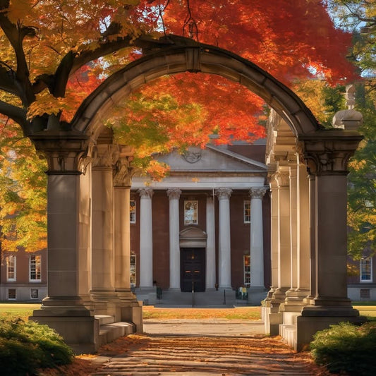 …make a LinkedIn before your first midterm.