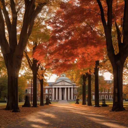 Creating aesthetic digital notes you’ll never revisit.