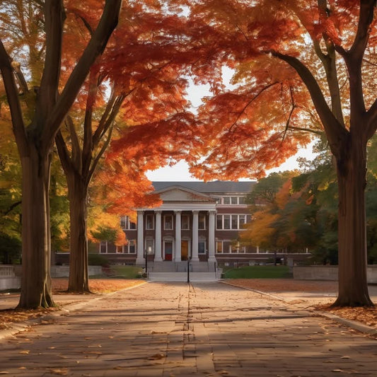 You’ve never met your roommate… but live together.