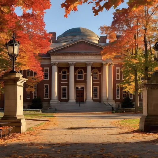 …attend a cultural show and suddenly want to change majors.