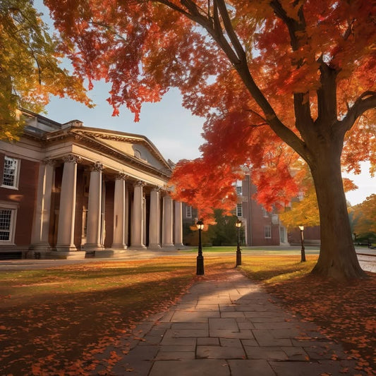 Writing essays while pacing your dorm room.