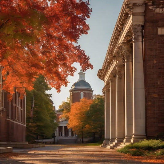 …start studying for the wrong exam and panic.