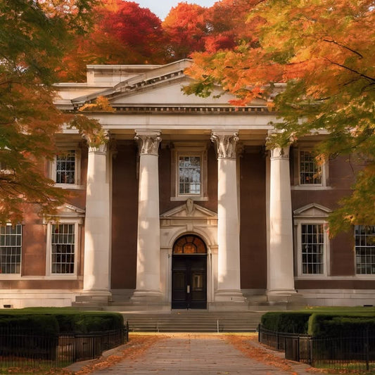 Watching someone nap on a pile of books.