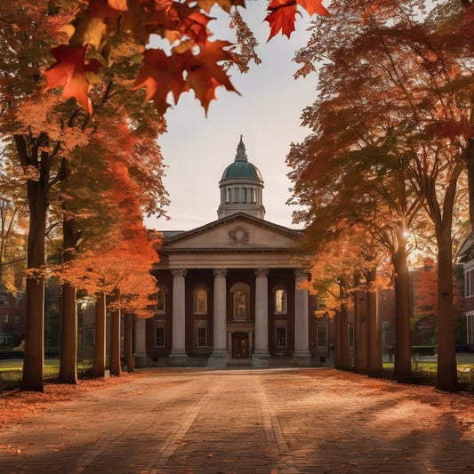 One roommate is pre-med, the other’s in a band. Chaos.