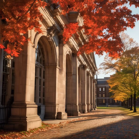 Wearing your school scarf/pride gear during finals week.