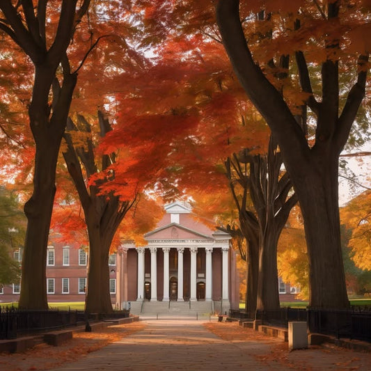 Dreaming about walking to class again.