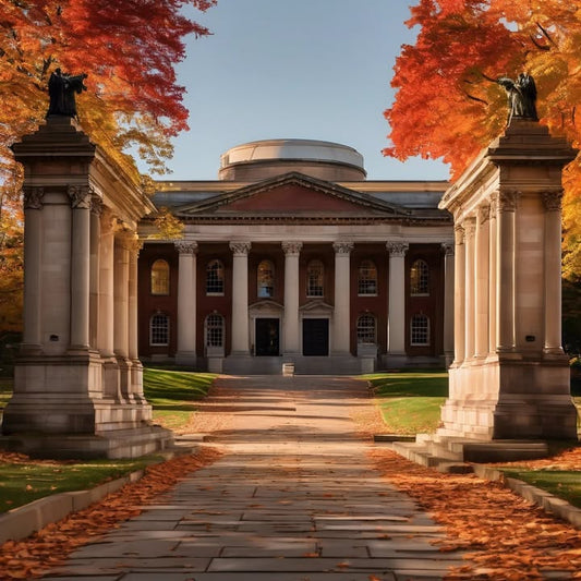 Explaining concepts to your wall (or your plants).