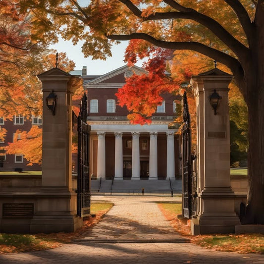 Making peace with being “average” at something you love.