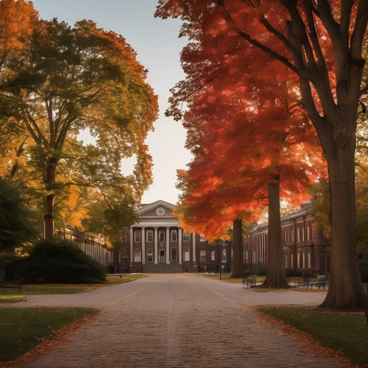 That awkward moment when a coworker Googles your college.