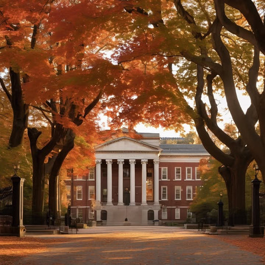 Waiting in line for mediocre coffee, just for the ritual.
