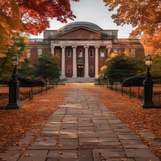 You’ve never met your roommate… but live together.