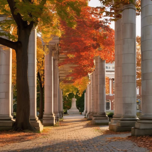 Room inspections = panic cleaning hour.