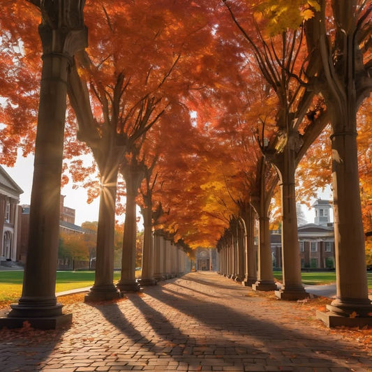 Teaching yourself with a fake whiteboard lecture.