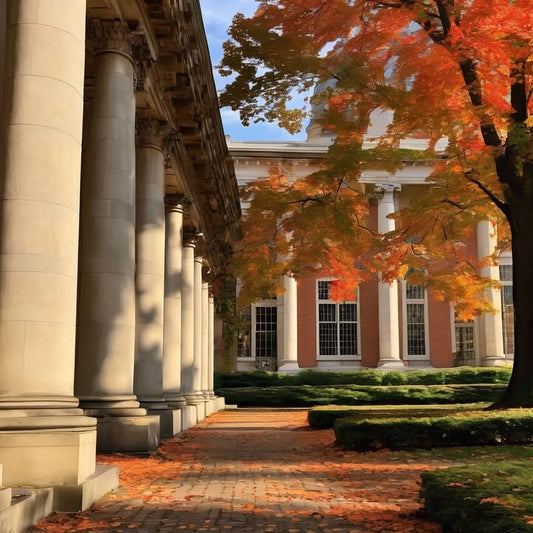 …hear someone say “I’m doing a startup” every day.