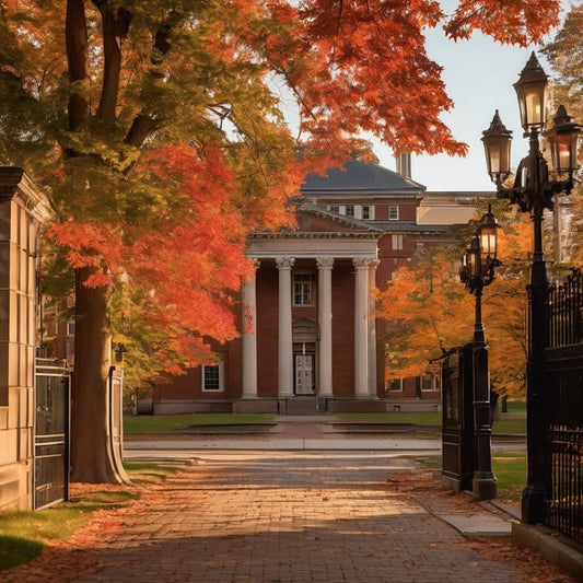 Eating cold pizza at 2 a.m. while reviewing flashcards.