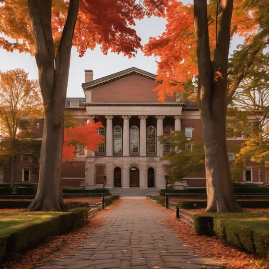 Ranking the food stations like a Yelp critic.