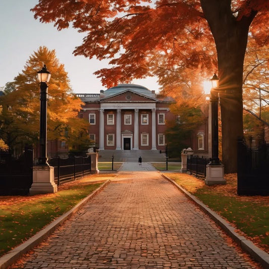 Late-night microwave queues and shared snacks.