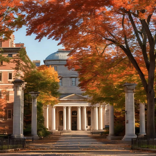 Feeling like a genius one moment, a fraud the next.