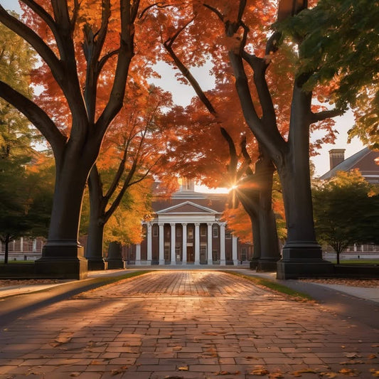 Feeling embarrassed to say “I don’t know what’s next.”