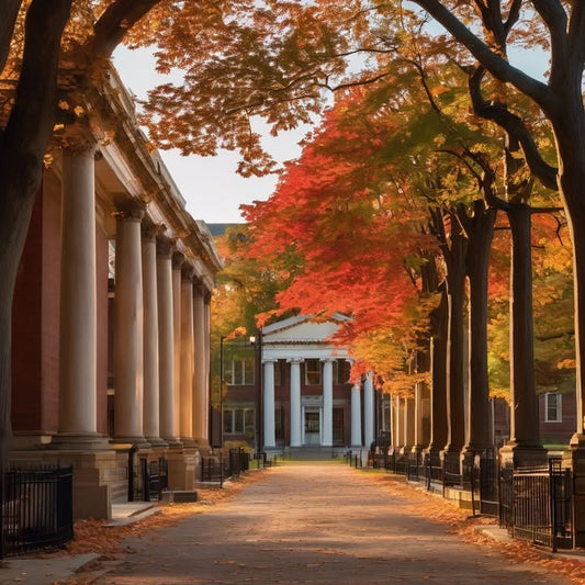 Freebie week: the tote bags, the pens, the unclaimed pizza.
