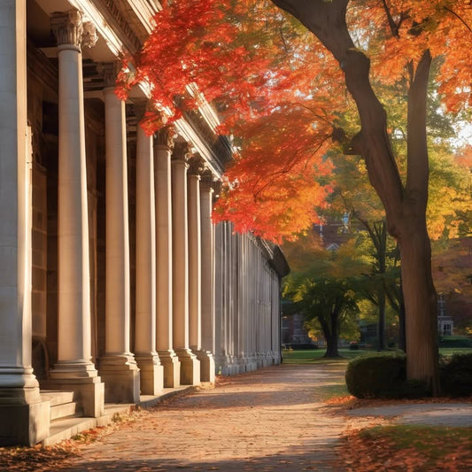 The feeling of staying after class just to talk.