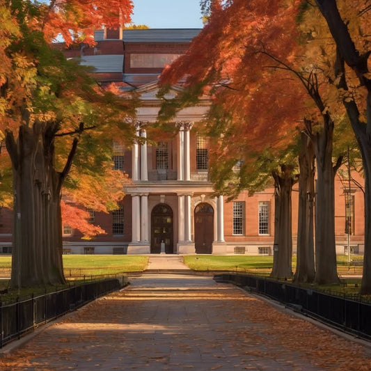 …turn lecture notes into visual art with all your doodles.