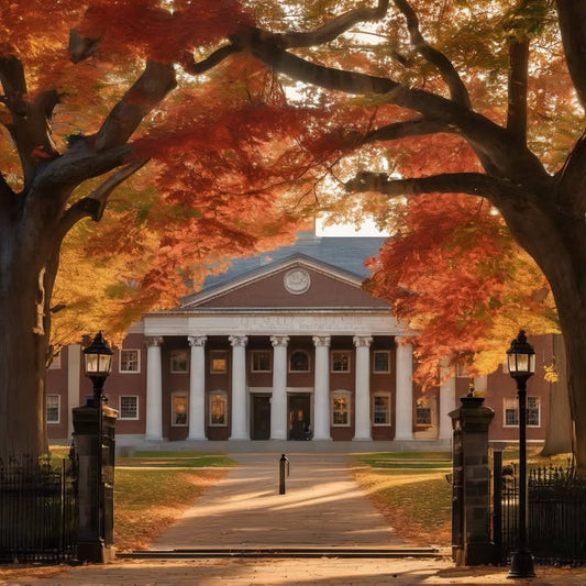 Keeping your old student ID in your wallet—forever.