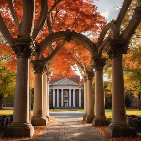 Spring picnic potlucks that never quite go as planned.