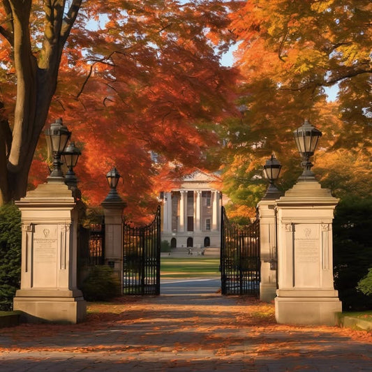 …cry in the library at least once.