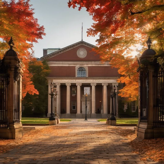 The smell of old books in the quiet section of the library.