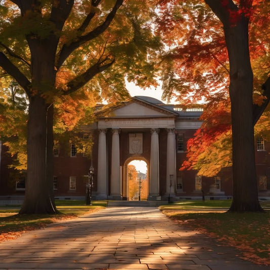 Choosing a slower path and still feeling worthy.