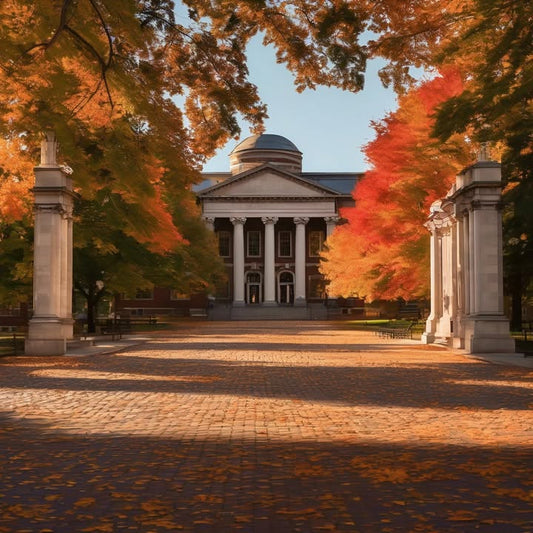 Realizing: it wasn’t just college, it was home.