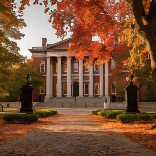 Working a job you dislike and not knowing what’s next.