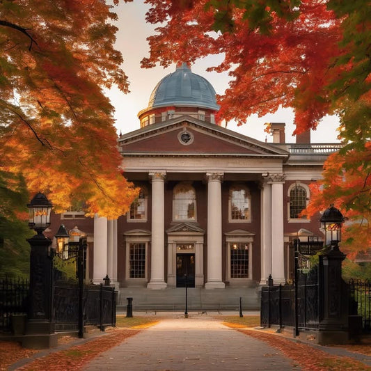 …attend a cultural show and suddenly want to change majors.